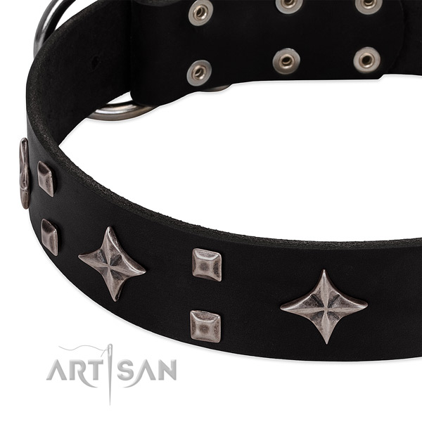 Trendy genuine leather dog collar for walking