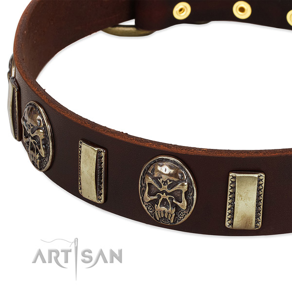 Reliable buckle on full grain leather dog collar for your pet