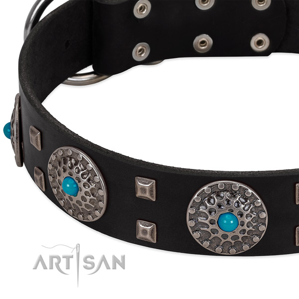 Gentle to touch leather dog collar with top notch embellishments