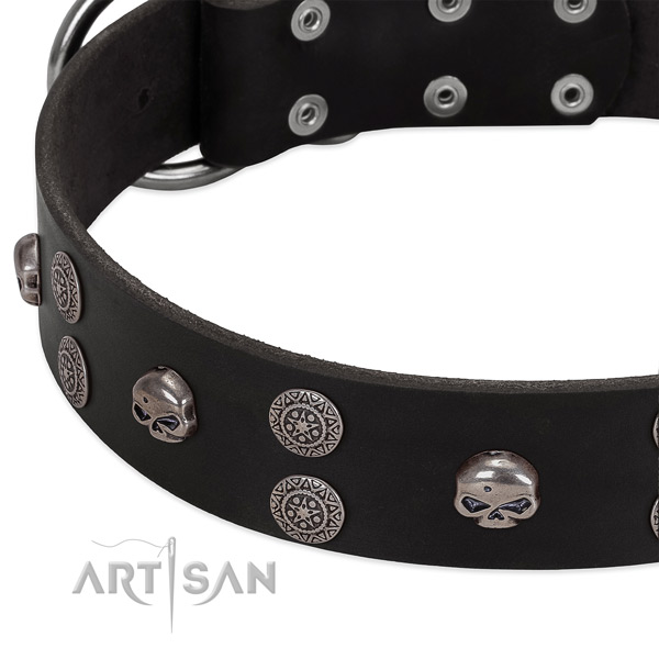 Soft to touch full grain genuine leather dog collar with trendy studs