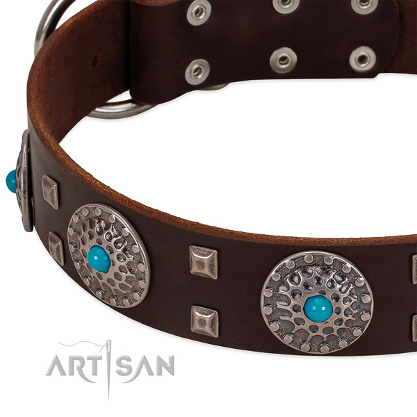Best quality full grain leather dog collar with designer embellishments