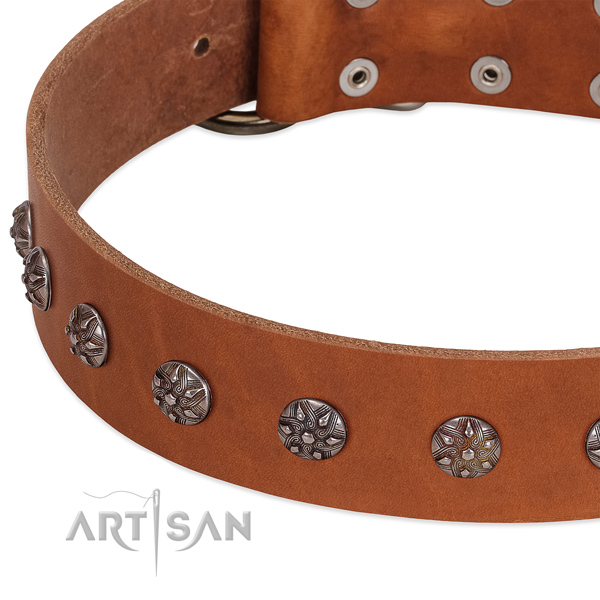 Flexible full grain leather dog collar with embellishments for your canine