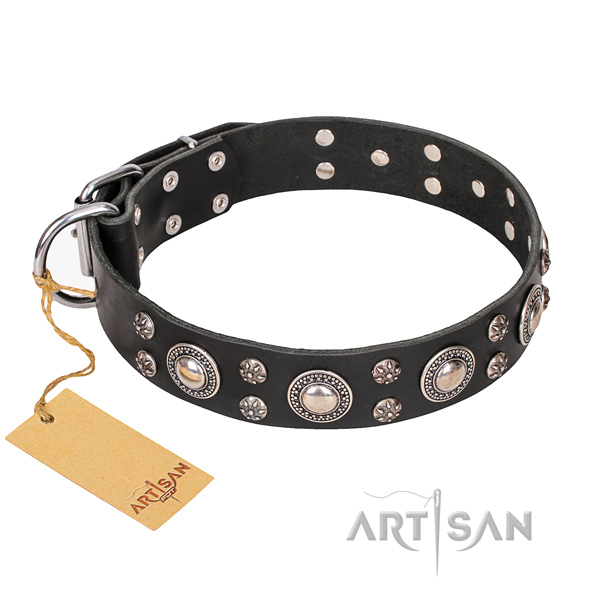 Everyday walking dog collar of strong natural leather with embellishments