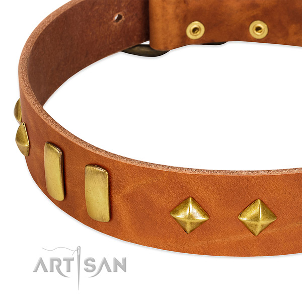 Easy wearing genuine leather dog collar with remarkable embellishments