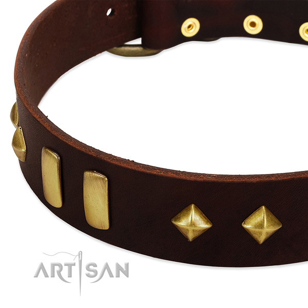 High quality full grain natural leather dog collar with unusual decorations