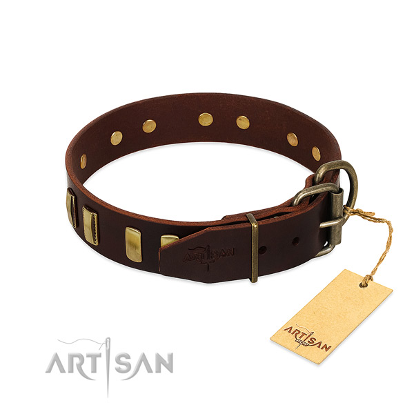 Natural leather dog collar with strong D-ring for walking