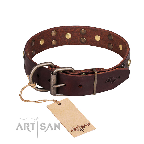 Daily use adorned dog collar of quality full grain genuine leather