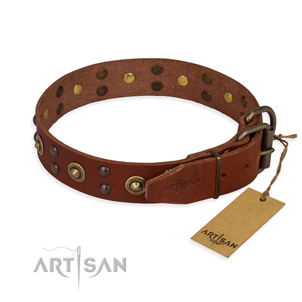 Durable D-ring on leather collar for your impressive four-legged friend