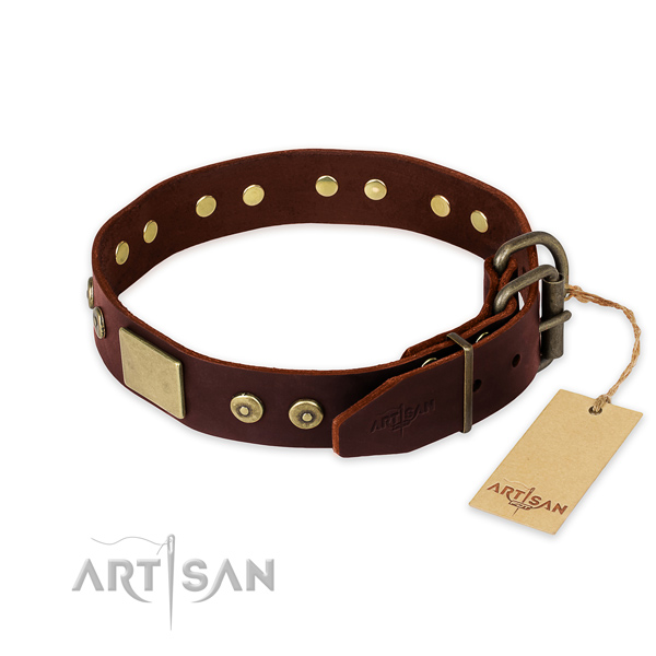 Rust resistant decorations on stylish walking dog collar