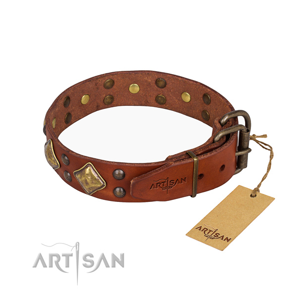 Natural leather dog collar with extraordinary durable adornments