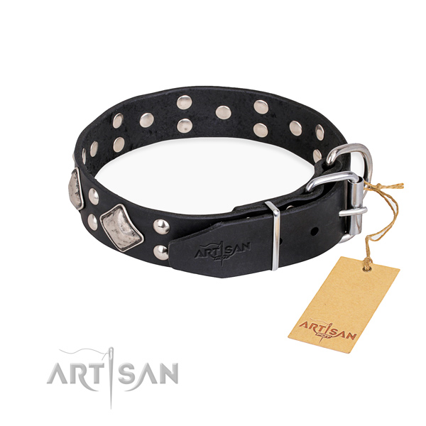 Full grain natural leather dog collar with incredible rust resistant embellishments