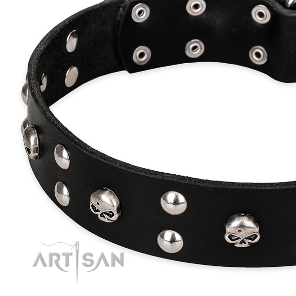 Everyday walking adorned dog collar of top notch natural leather