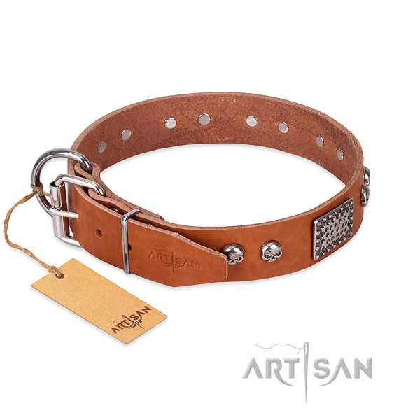 Corrosion resistant studs on basic training dog collar
