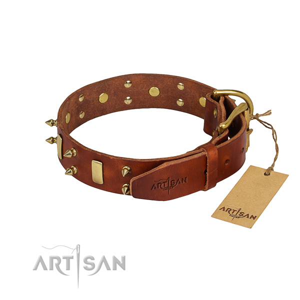 Daily walking studded dog collar of finest quality leather