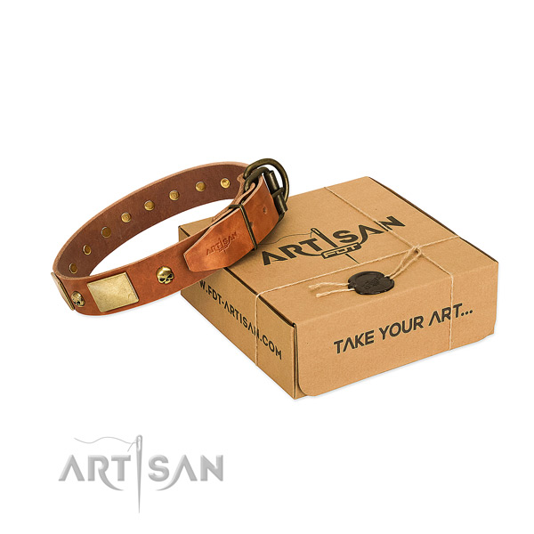 Gentle to touch leather dog collar with designer adornments