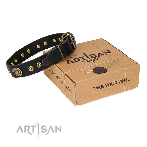 Full grain natural leather dog collar made of gentle to touch material with rust resistant traditional buckle