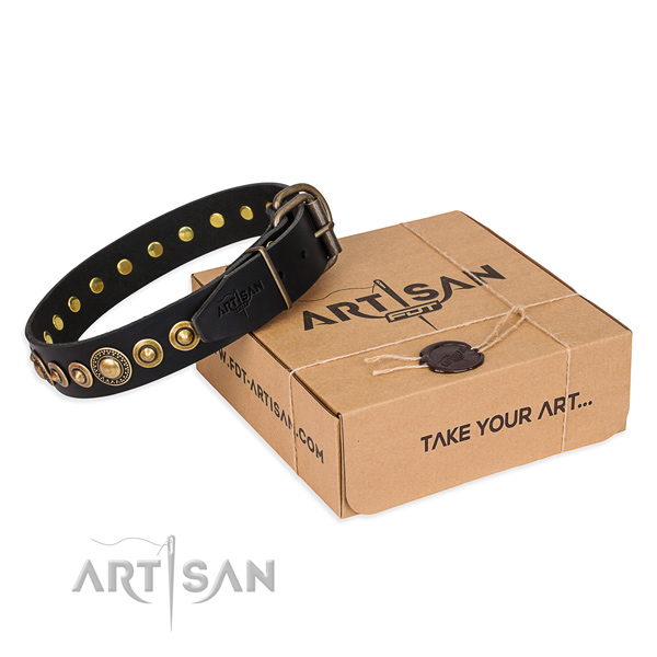 Top rate full grain leather dog collar made for everyday walking