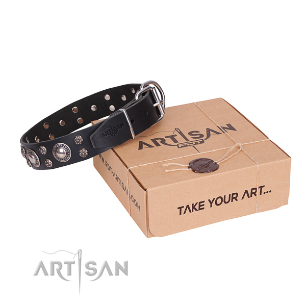Handy use dog collar of durable full grain natural leather with embellishments