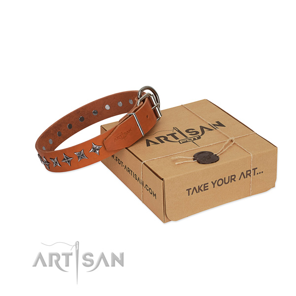 Quality full grain natural leather dog collar with top notch studs