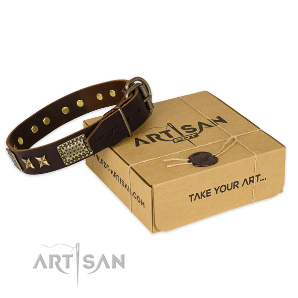 Corrosion proof fittings on full grain genuine leather collar for your stylish four-legged friend