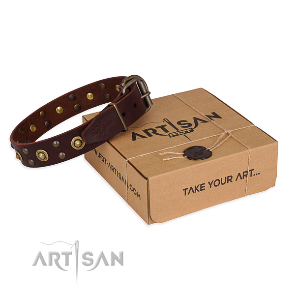 Strong hardware on leather collar for your handsome canine