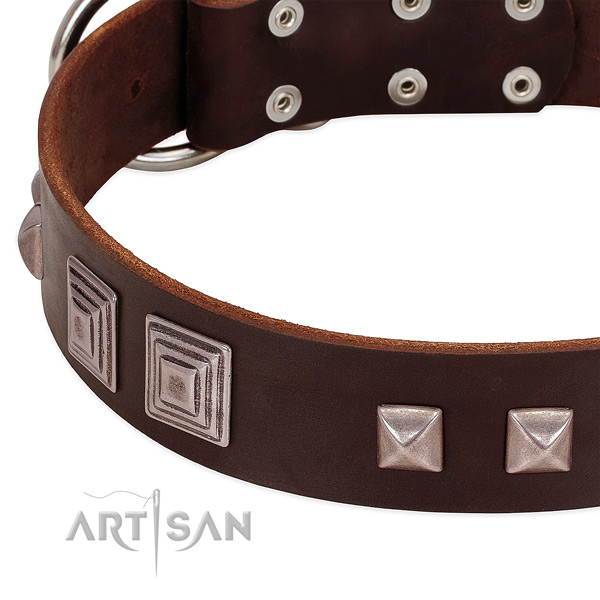 Reliable traditional buckle on genuine leather dog collar for easy wearing
