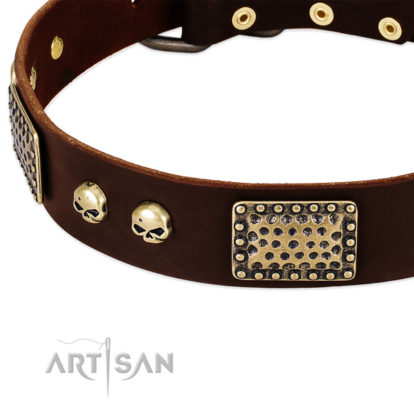 Reliable adornments on full grain natural leather dog collar for your doggie