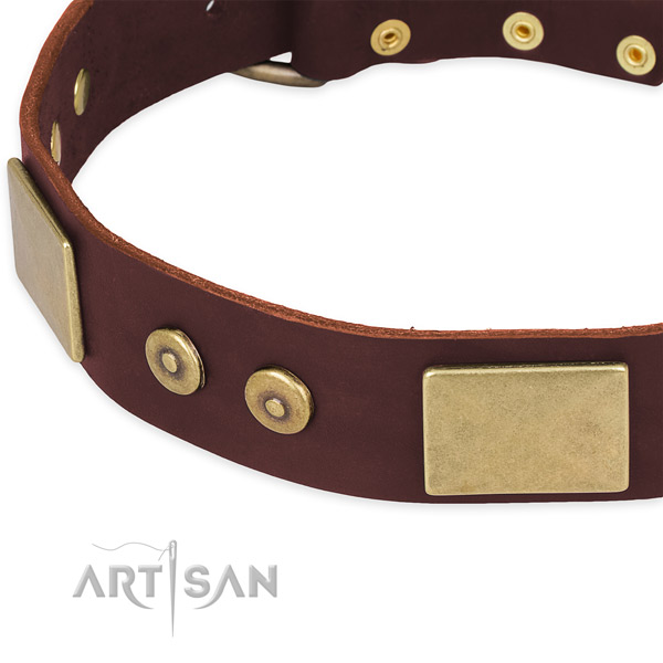 Full grain natural leather dog collar with adornments for handy use