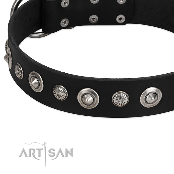 Unique embellished dog collar of strong natural leather