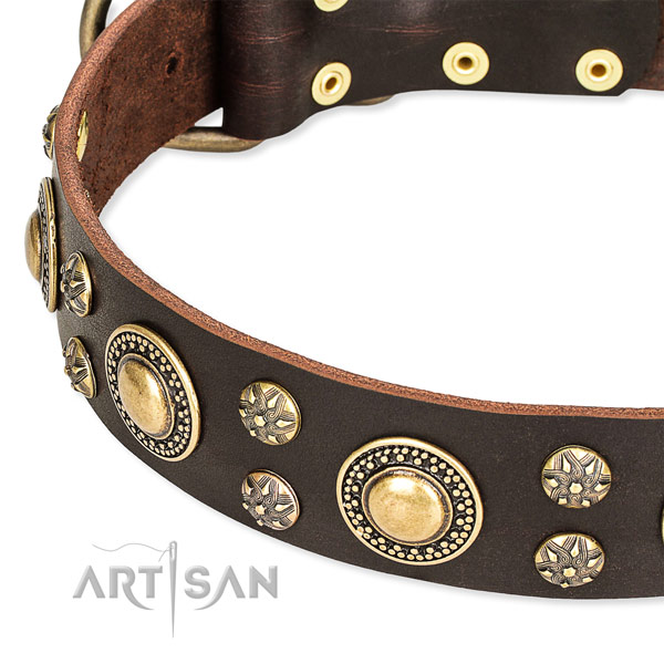 Handy use embellished dog collar of finest quality natural leather
