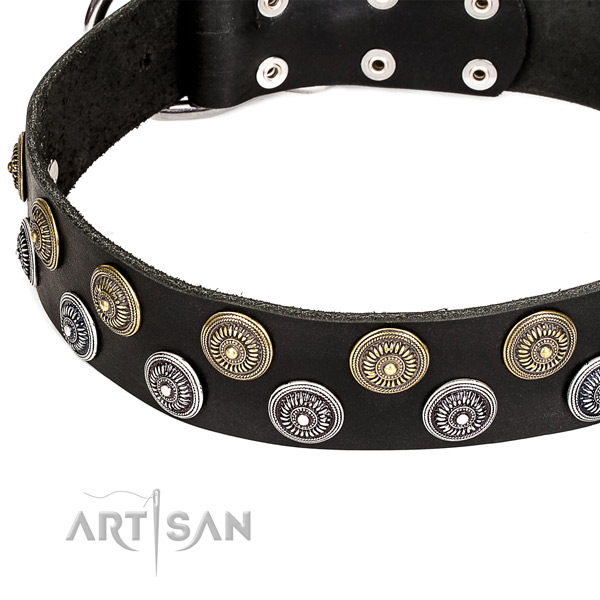 Stylish walking decorated dog collar of best quality natural leather