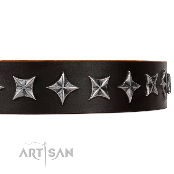 Walking adorned dog collar of best quality full grain leather