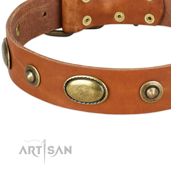 Corrosion resistant traditional buckle on full grain leather dog collar for your doggie