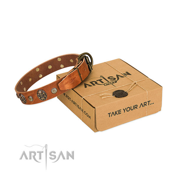 Rust-proof D-ring on natural genuine leather dog collar for daily use
