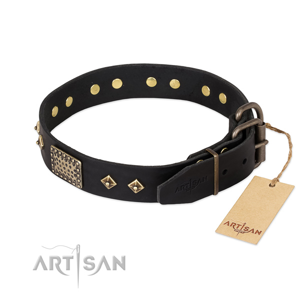 Full grain leather dog collar with rust resistant hardware and embellishments