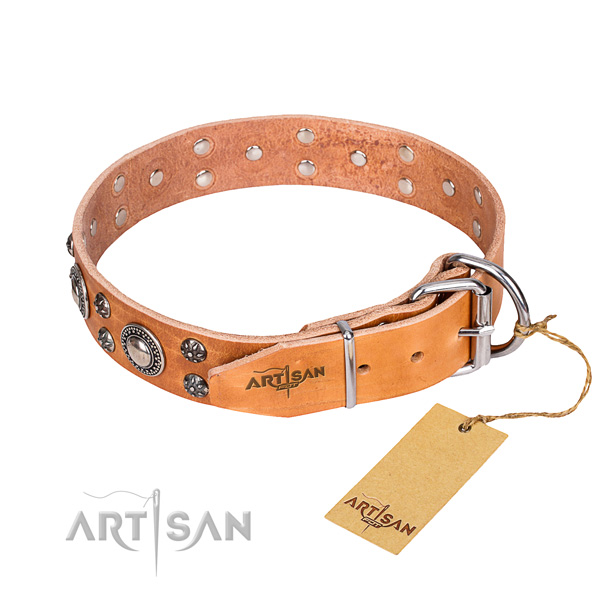 Everyday walking adorned dog collar of best quality genuine leather