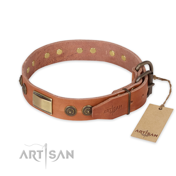 Rust-proof hardware on full grain leather collar for fancy walking your pet