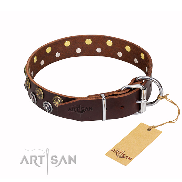 Daily use studded dog collar of fine quality natural leather