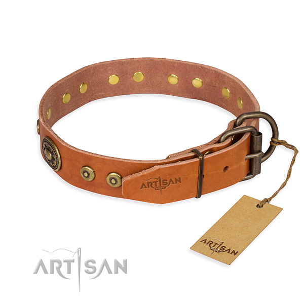 Full grain natural leather dog collar made of best quality material with corrosion resistant adornments