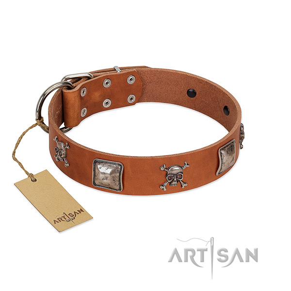 Stylish dog collar crafted for your stylish canine
