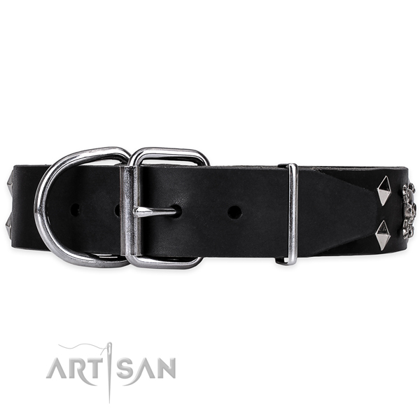 Comfortable wearing studded dog collar of high quality full grain leather