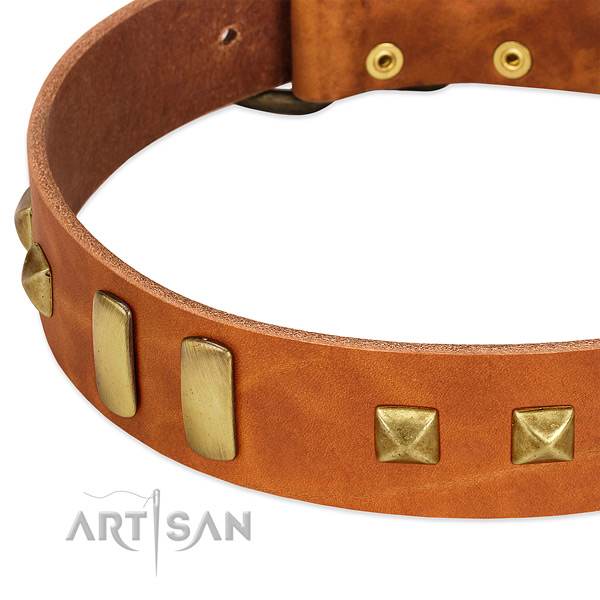 Reliable genuine leather dog collar with decorations for stylish walking