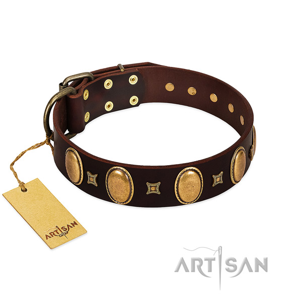 Genuine leather dog collar with fashionable studs for daily walking