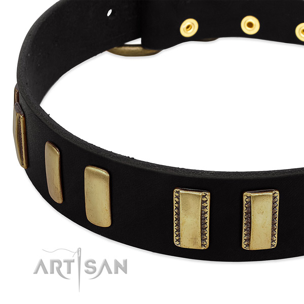 Quality full grain leather dog collar with studs for everyday use