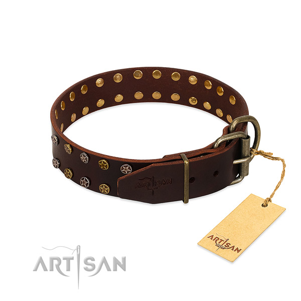 Daily use full grain genuine leather dog collar with awesome embellishments