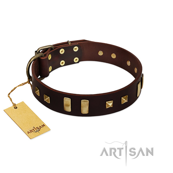 Genuine leather dog collar with corrosion proof hardware