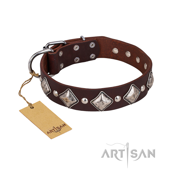 Daily use dog collar of top quality leather with studs