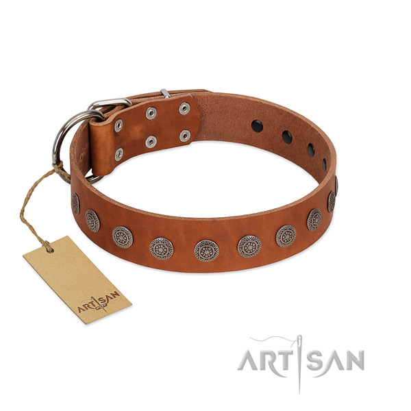 Unusual decorations on natural leather collar for comfortable wearing your doggie