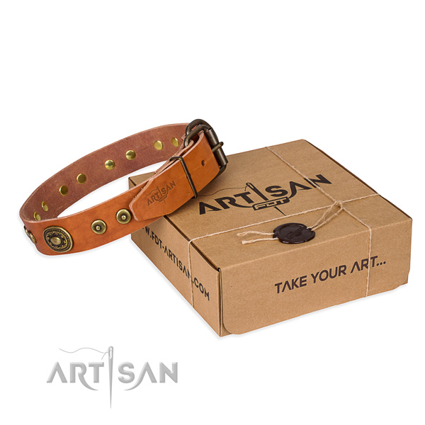 Full grain leather dog collar made of quality material with strong traditional buckle