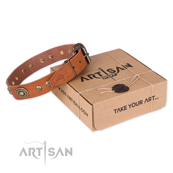 Strong hardware on leather dog collar for daily walking